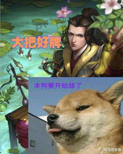 吃瓜遇见舔狗,一场现代都市情感纠葛  第3张