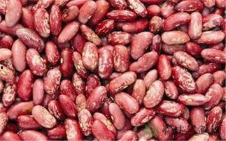 小红书吃瓜菜花男友,吃瓜菜花男友，揭秘恋爱中的甜蜜与苦涩