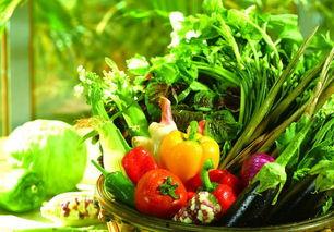 小红书吃瓜菜花男友,吃瓜菜花男友，揭秘恋爱中的甜蜜与苦涩  第3张