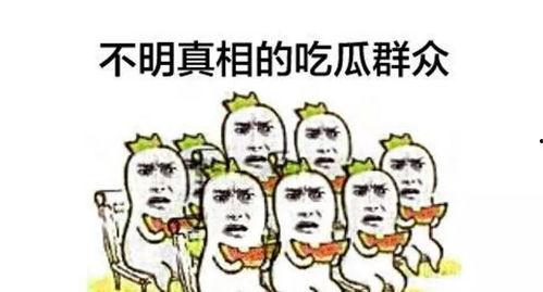 吃瓜围观小号168,揭秘娱乐圈背后的故事