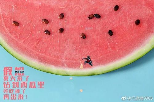 吃瓜的人最高境界,揭秘吃瓜的最高境界  第2张