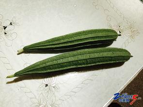 国外邻居吃瓜,揭秘国外邻居的“吃瓜”文化  第2张