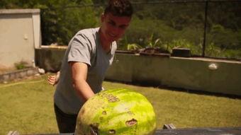 国外邻居吃瓜,揭秘国外邻居的“吃瓜”文化  第3张