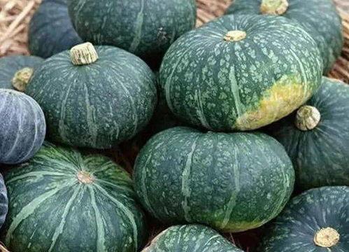 瓜吃的有点饱,尽享夏日丰收滋味