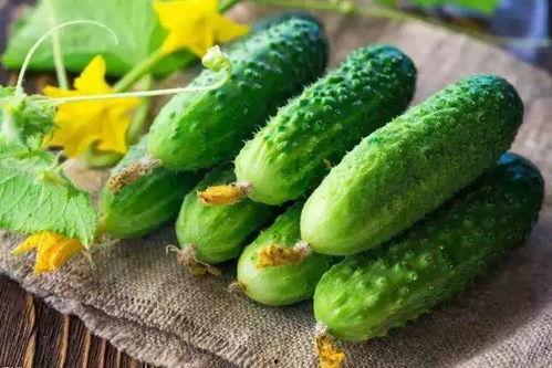 平民吃瓜  第2张