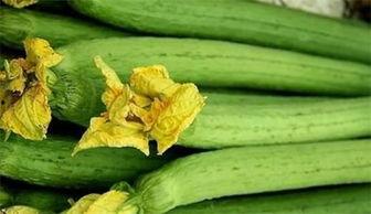 平民吃瓜  第3张