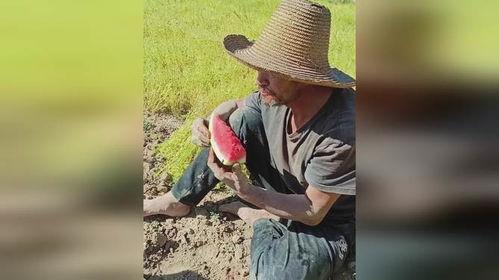 吃瓜干活的人  第3张