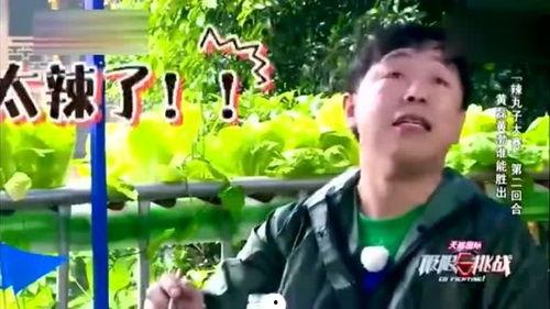 辣老师吃瓜,揭秘娱乐圈幕后真相 第3张 辣老师吃瓜,揭秘娱乐圈幕后真相 第3张