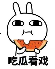 姜文静吃瓜吃到自己,从吃瓜群众到瓜中明星的华丽转身  第3张