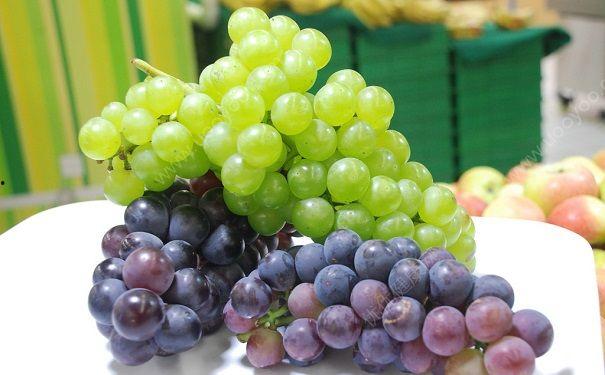 梦见吃瓜和葡萄,瓜果飘香，品味梦境中的甜蜜与甘甜