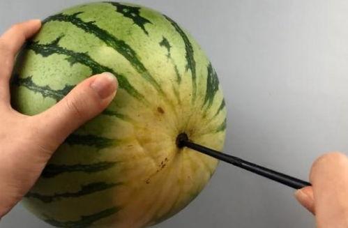 吃瓜有话说原理,网络舆论场中的观察与思考  第2张