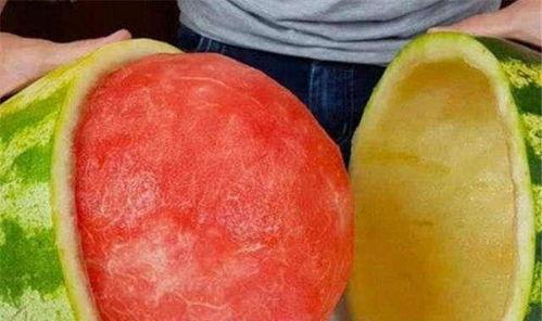 中东土豪吃瓜  第3张