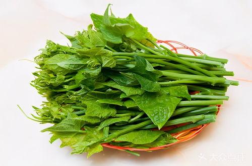 贵州吃瓜尖,吃瓜尖的独特风味之旅