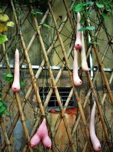 越南的乳瓜可以吃,美味与营养并存的东南亚特色美食  第3张