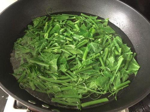 吃棚瓜尖  第2张