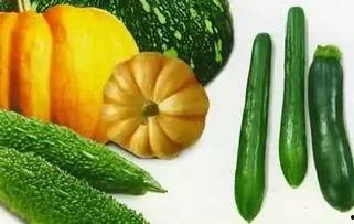 吃瓜任意门,揭秘娱乐圈那些不为人知的秘密  第2张