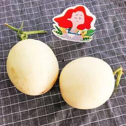 吃瓜陶白白,吃瓜陶白白的趣味生活点滴  第3张