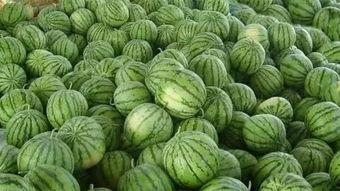 外面吃瓜,揭秘娱乐圈幕后故事  第2张