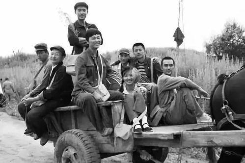 知青吃瓜年代,知青岁月里的甜蜜回忆  第2张