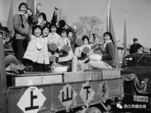 知青吃瓜年代,知青岁月里的甜蜜回忆  第3张