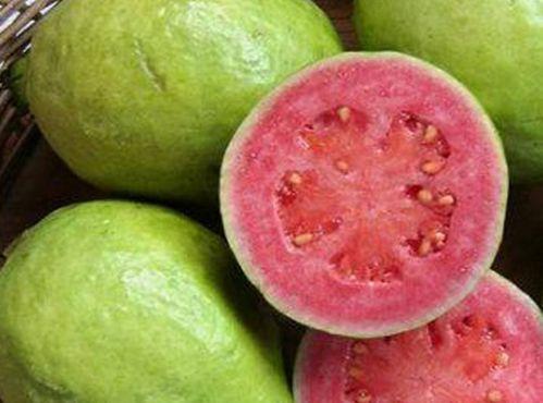 孕妇吃吊瓜哪个好,孕妇食用吊瓜的挑选指南  第3张