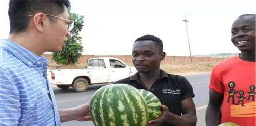 吃瓜吃到女儿被打,一场家庭悲剧的反思  第2张