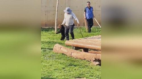 吃瓜小熊二  第3张