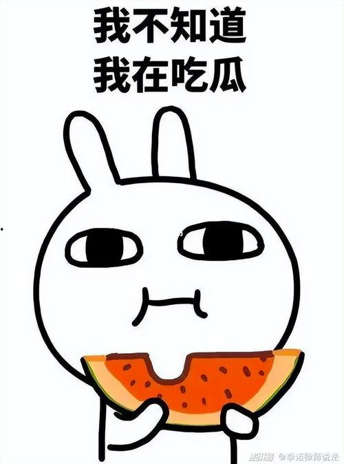 瓜瓜吃瓜的作者,揭秘娱乐圈幕后真相