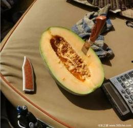 瓜瓜吃瓜的作者,揭秘娱乐圈幕后真相  第2张