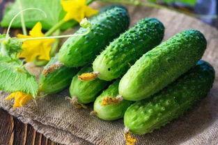 赖瓜怎么吃最好吃,解锁最佳食用秘诀