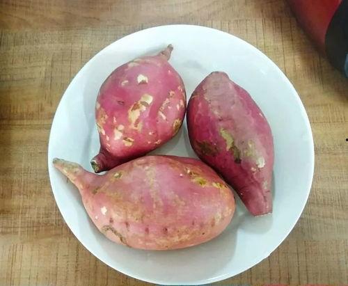 地瓜视频吃瓜,带你领略吃瓜乐趣，轻松解锁娱乐新姿势