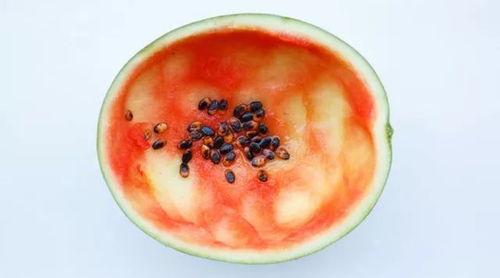 吃瓜勺子商用摆摊,街头美食新潮流  第2张