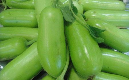 蒲瓜可以调着吃吗,创意调食新体验  第3张