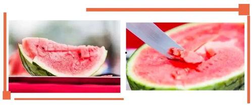 沙河吃瓜录音,一场网络热议背后的真相