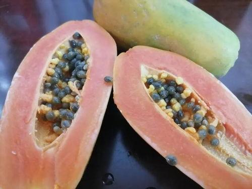 今年吃瓜路线,揭秘娱乐圈幕后风云  第2张