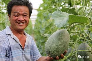 天津大王吃的瓜  第3张