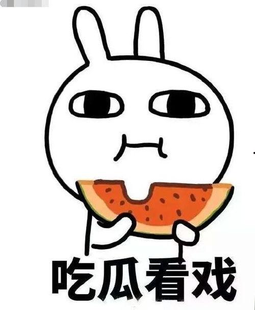 吃瓜秘诀后续,吃瓜秘诀后续深度解析  第2张