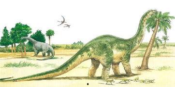 瓜哥吃瓜补全恐龙,揭秘史前巨兽的神秘面纱