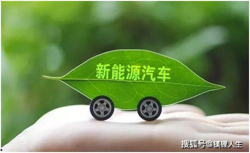 新能源汽车吃瓜,绿色出行新潮流，吃瓜群众见证变革  第3张