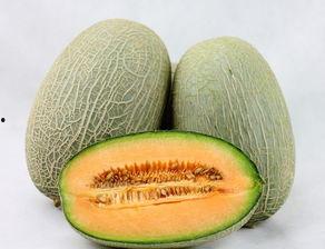 哈密瓜吃不起来,为何吃不起来？揭秘背后的原因  第3张