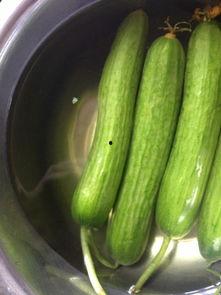 荷兰瓜是什么怎么吃,荷兰瓜的独特风味与多样食用方法揭秘  第2张