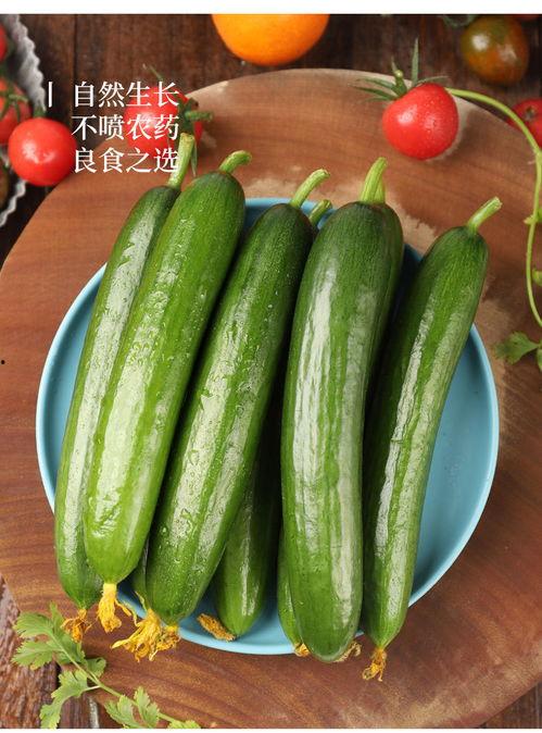 荷兰瓜是什么怎么吃,荷兰瓜的独特风味与多样食用方法揭秘  第3张