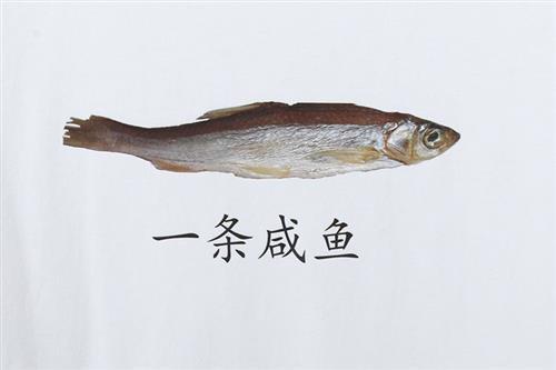 咸鱼在末世吃瓜