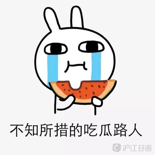 吃瓜深井冰,网络热词背后的文化现象