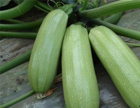 西西西吃瓜,揭秘娱乐圈背后的秘密与真相