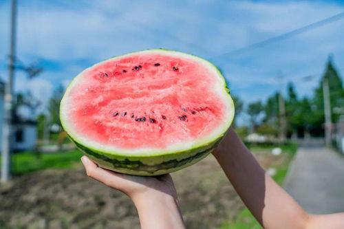 西西西吃瓜,揭秘娱乐圈背后的秘密与真相  第3张