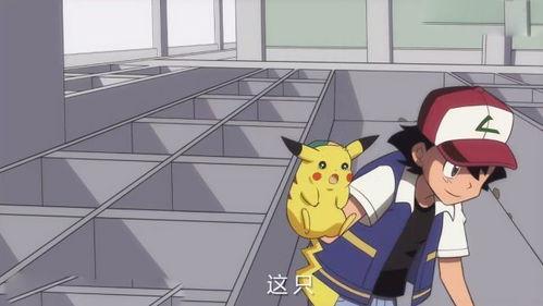 小智吃瓜格局,揭秘娱乐圈的幕后格局  第3张