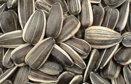 葵瓜怎么吃最好,这样吃最营养！  第3张