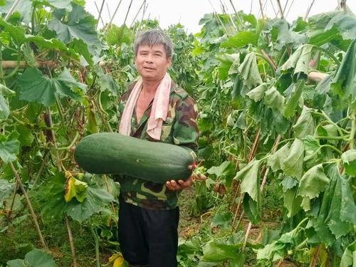 吃瓜劲爆文,吃瓜群众热议的劲爆事件大汇总  第3张