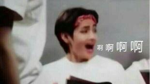 正泰全员吃瓜,揭秘娱乐圈幕后风云